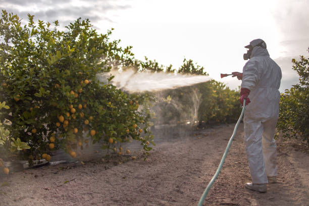Best Residential Pest Control  in New Sarpy, LA