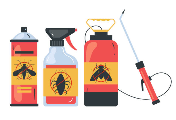 Best Affordable Pest Control Services  in New Sarpy, LA