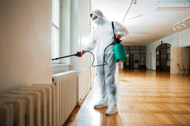 Reliable New Sarpy, LA Pest Control Solutions