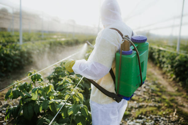 Best Pest Control for Restaurants  in New Sarpy, LA